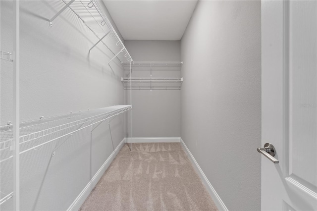 spacious closet with carpet flooring