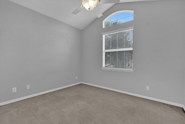 carpeted empty room with ceiling fan and lofted ceiling