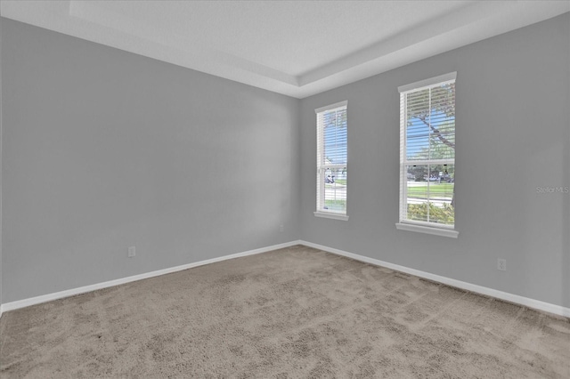 spare room with carpet flooring