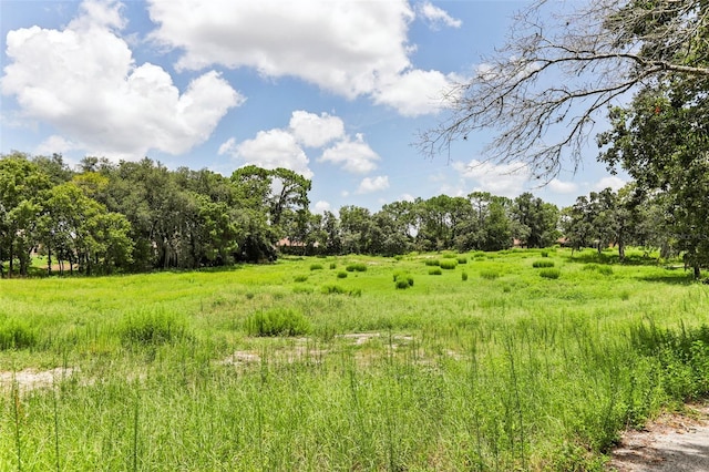 view of nature with a rural view