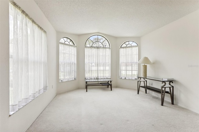 living area featuring carpet floors, a healthy amount of sunlight, and a textured ceiling