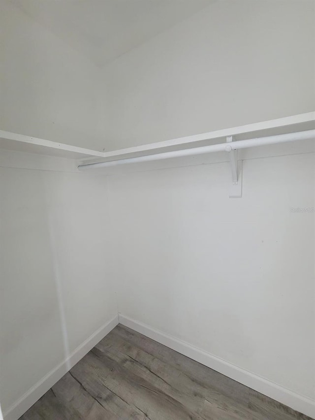 spacious closet featuring hardwood / wood-style floors