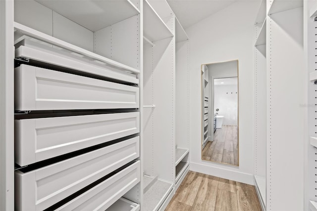 spacious closet featuring light hardwood / wood-style floors