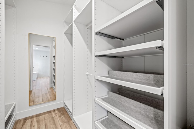 spacious closet featuring light hardwood / wood-style floors