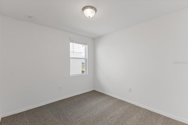 unfurnished room with carpet