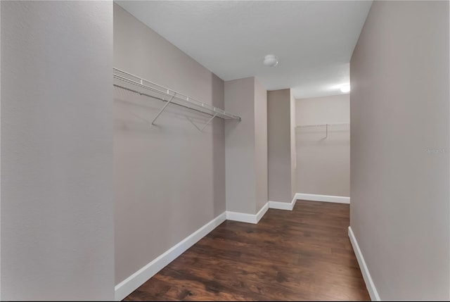 walk in closet with dark wood-type flooring