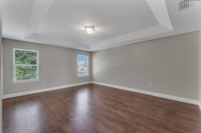 spare room featuring dark wood-type flooring, a wealth of natural light, and a tray ceiling