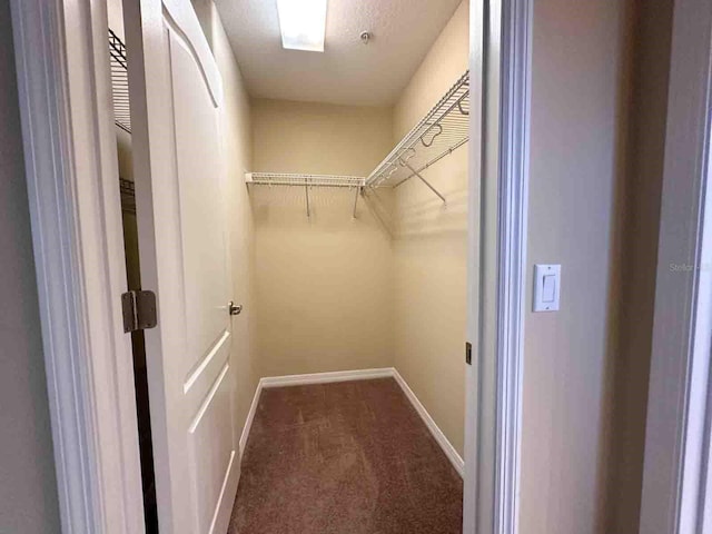 spacious closet with carpet floors