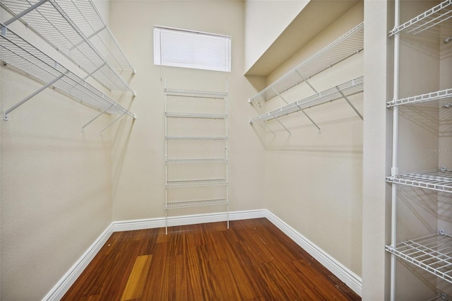 spacious closet with hardwood / wood-style flooring