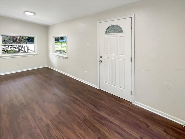 entryway featuring vaulted ceiling and dark hardwood / wood-style floors