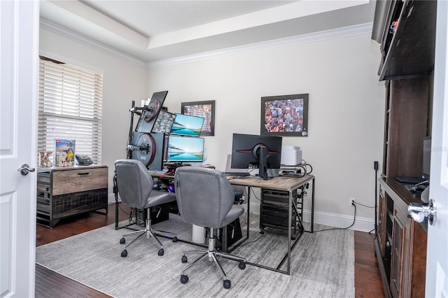 home office featuring dark hardwood / wood-style floors and a tray ceiling