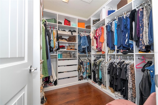 spacious closet featuring hardwood / wood-style flooring