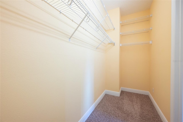 spacious closet with carpet floors