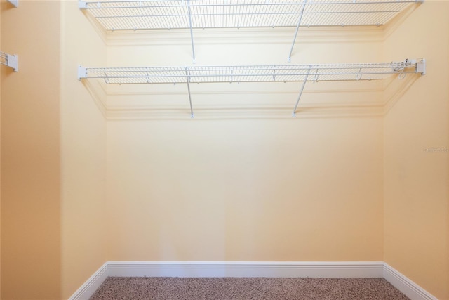 spacious closet with carpet