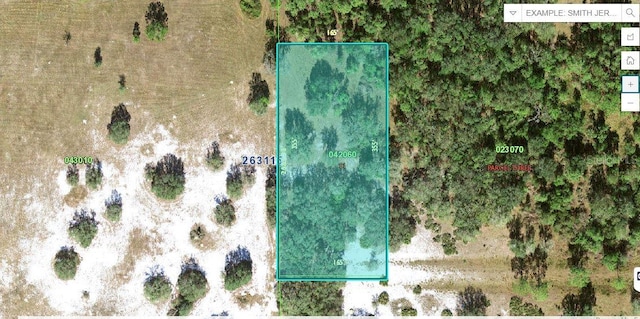 N/A, Fort Meade FL, 33841 land for sale