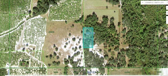 N/A, Fort Meade FL, 33841 land for sale