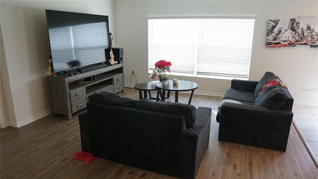 living room with hardwood / wood-style floors