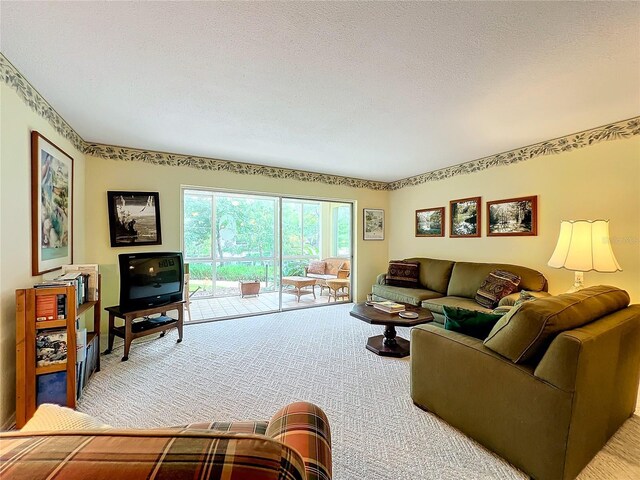 carpeted living room with a textured ceiling