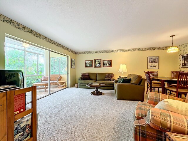 carpeted living room with a textured ceiling