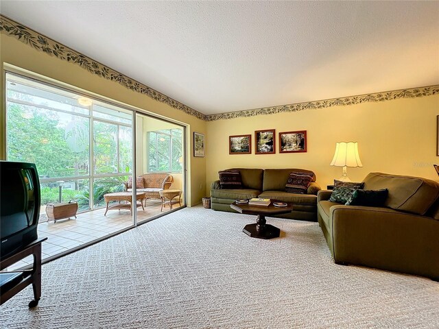 living room featuring light carpet and a textured ceiling