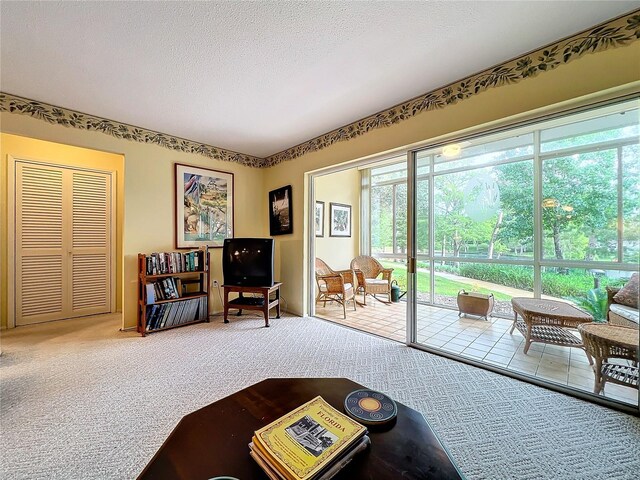 carpeted living room with a textured ceiling