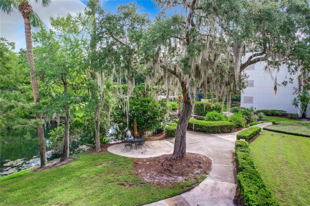 view of community featuring a patio and a lawn