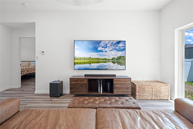 living room with light wood-type flooring