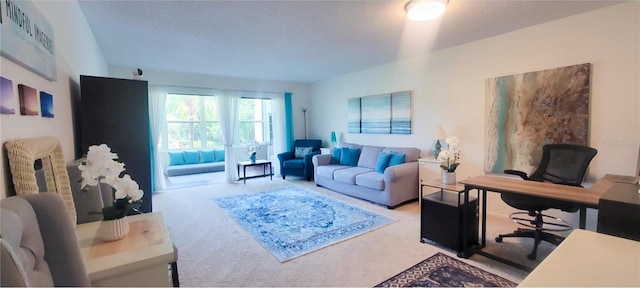 view of carpeted living area