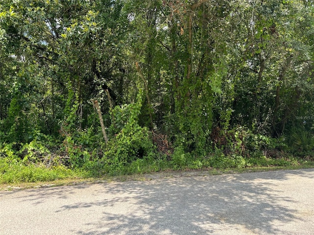 Jerome Dr, New Port Richey FL, 34654 land for sale