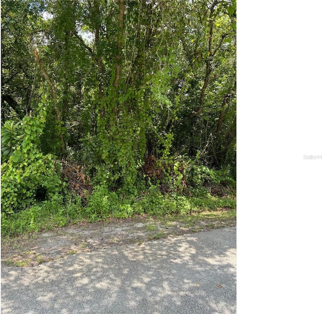 Listing photo 2 for Jerome Dr, New Port Richey FL 34654