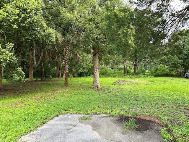 5849 SE Drew Rd, Belleview FL, 34420 land for sale