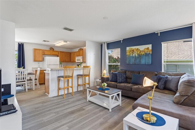 living room with light hardwood / wood-style floors