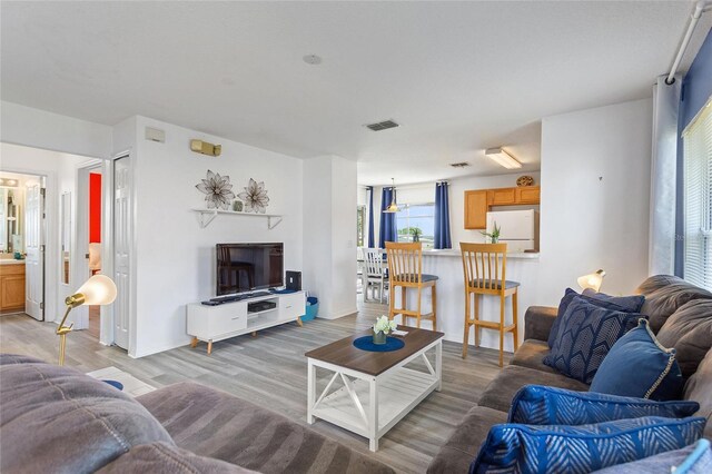 living room with light wood-type flooring