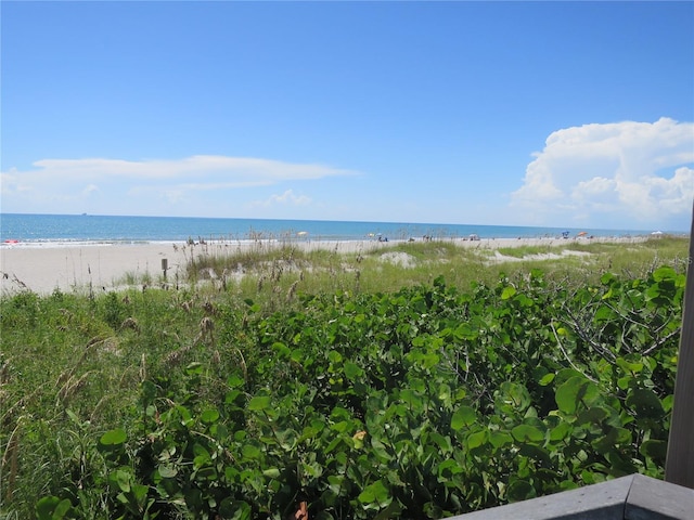 view of water feature with a beach view