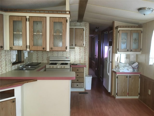 kitchen with decorative backsplash, white appliances, sink, dark hardwood / wood-style floors, and lofted ceiling