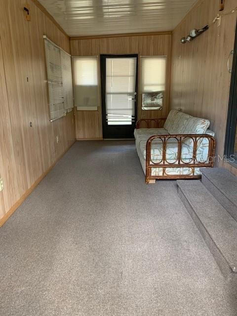 unfurnished bedroom with wood walls and carpet