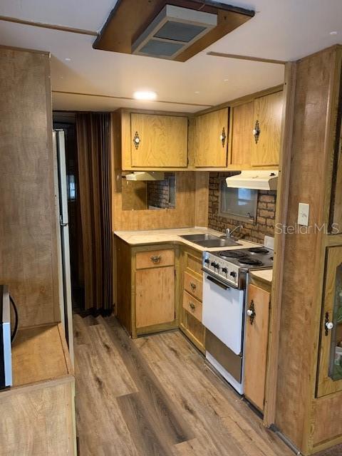 kitchen with stainless steel appliances, exhaust hood, light hardwood / wood-style flooring, and sink