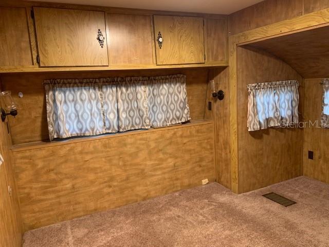 empty room featuring carpet flooring and wood walls