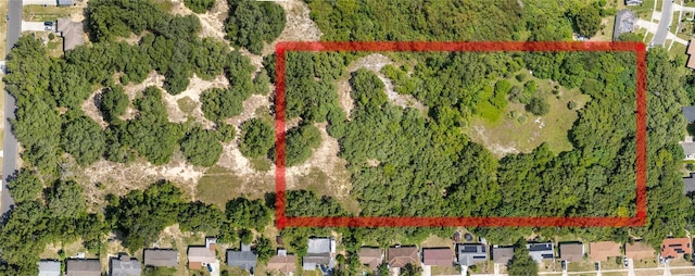 E Celeste St, Apopka, FL 32703