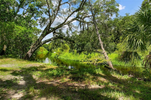 view of landscape featuring a water view