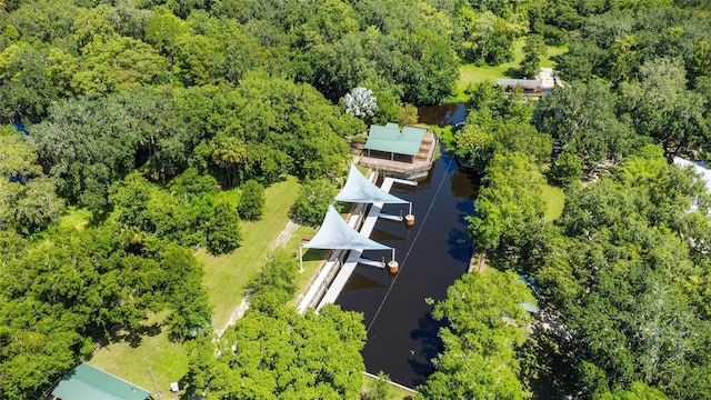 birds eye view of property featuring a forest view