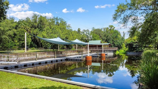 dock area with a water view