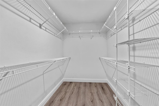 walk in closet featuring wood-type flooring