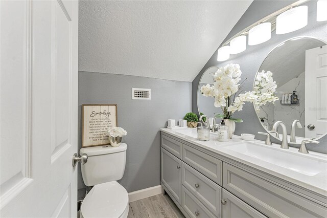 bathroom featuring double vanity, lofted ceiling, wood finished floors, a textured ceiling, and a sink