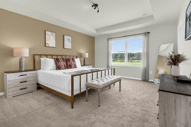 carpeted bedroom featuring a tray ceiling