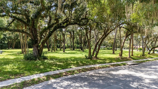 8211 Via Hermosa St, Sanford FL, 32771 land for sale