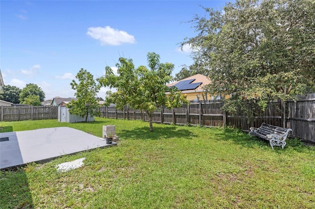 view of yard with a patio area and a storage unit