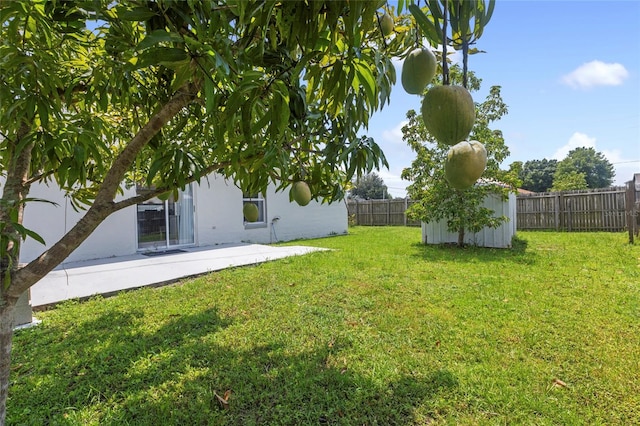 view of yard with a patio and a shed