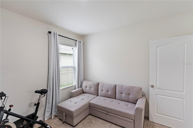 sitting room with light colored carpet