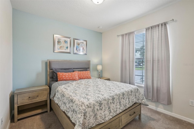 carpeted bedroom with multiple windows